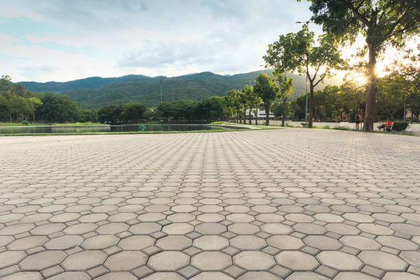Best Permeable Paver Driveway  in Las Cruces, NM