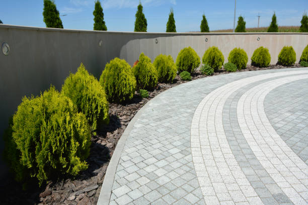 Best Residential Driveway Paver Services  in Las Cruces, NM